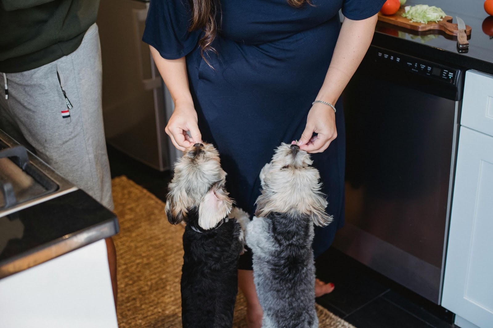 honden krijgen wat eten