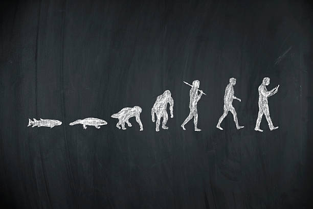 A chalk drawing of a person evolution

AI-generated content may be incorrect.