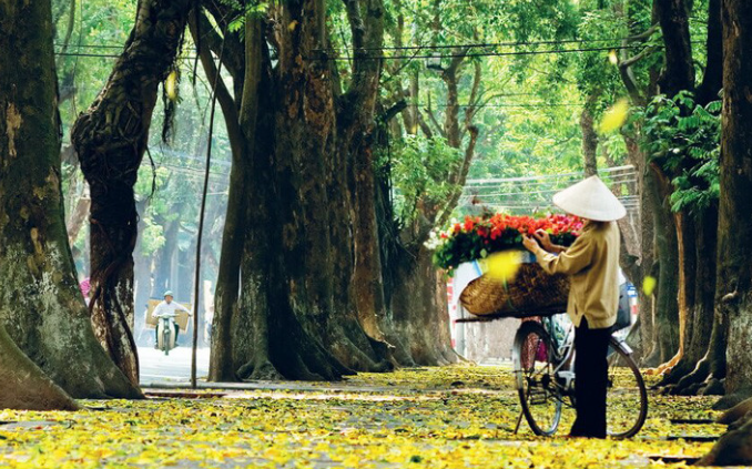 ĐỌC MỞ RỘNG THỂ LOẠI: TIẾNG THUXin chào các em, cô rất vui khi được đồng hành cùng các em tìm hiểu bài học ngày hôm nay!Thông qua video này, các em sẽ nắm được các kiến thức và kĩ năng như sau:HS nhận biết được đặc điểm của thể loại tác phẩm, xác định được bố cục, phân tích được giá trị nội dung và nghệ thuật của bài Tiếng thu. Từ đó hình thành, rèn luyện năng lực đọc hiểu một tác phẩm thơ năm chữ.Hiểu tâm trạng u buồn man mác có chút khắc khỏi của nhân vật trữ tình.A. KHỞI ĐỘNGTrước khi bước vào bài học, các em hãy cùng cô quan sát và trả lời câu hỏi sau: Qua những hình ảnh trên em cảm nhận như thế nào về mùa thu?Mùa thu là đề tài quen thuộc đối với thi nhân Việt Nam. Thu nhẹ nhàng đi vào trong thơ ca Việt với biết bao nhiêu cảm xúc. Đó là một mùa thu với hương ổi phả vào trong gió se của Hữu Thỉnh, đó là mùa thu với nỗi sầu của Xuân Diệu…. Và hôm nay chúng ta sẽ cùng khám phá một bức tranh mùa thu trong thơ Lưu Trong Lư qua bài Tiếng thu.B. HOẠT ĐỘNG HÌNH THÀNH KIẾN THỨC