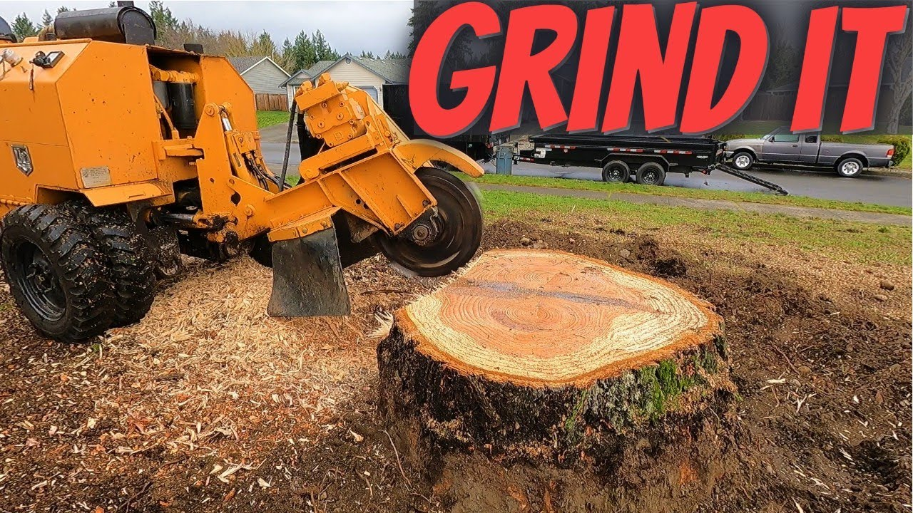 Professional Tree Stump Removal Methods
