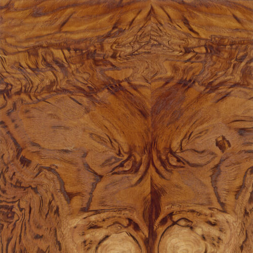 A close-up of a wood grain

Description automatically generated