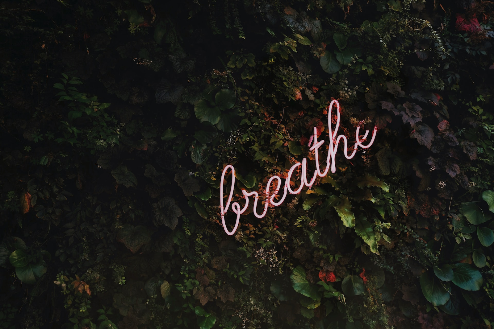 How to overcome mental block? Breathe.