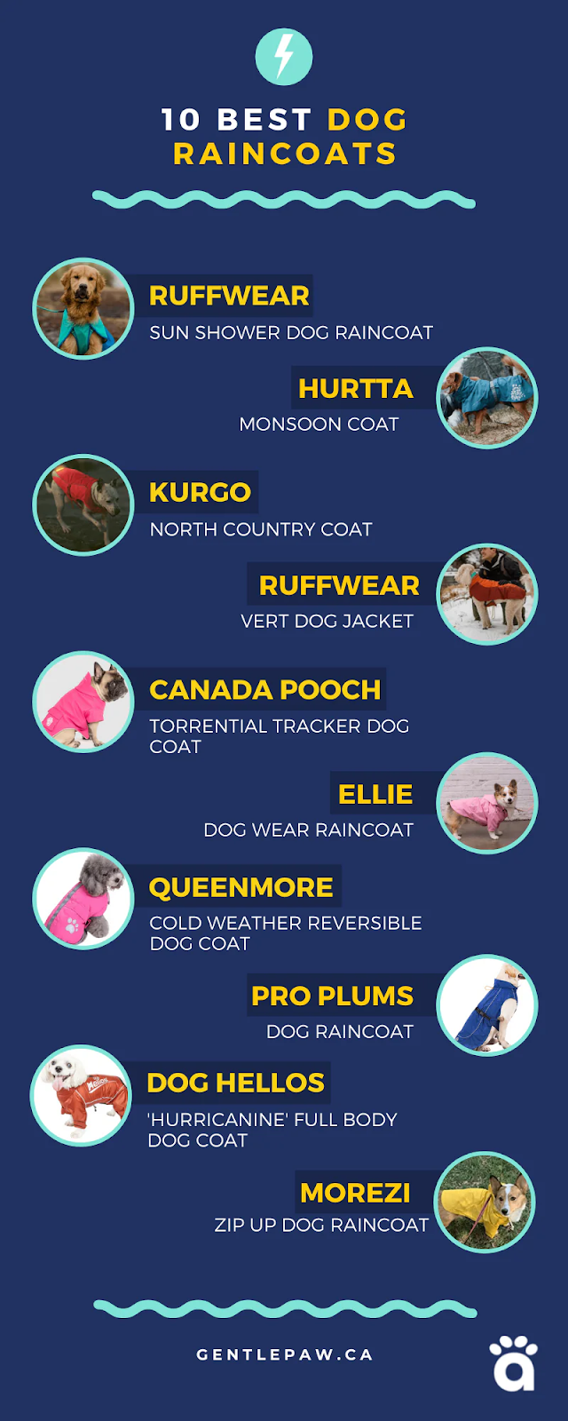 best-dog-raincoats