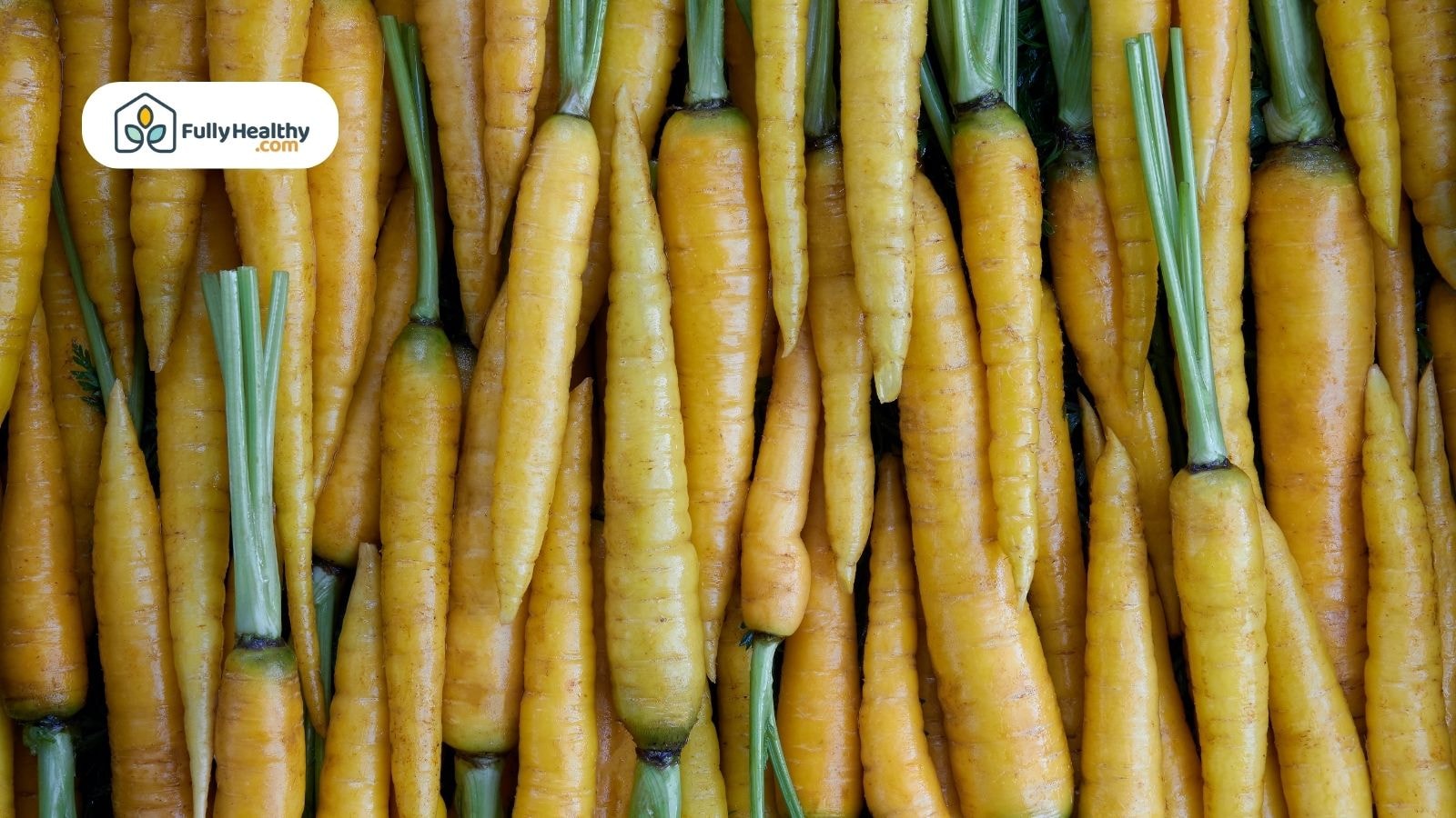 Pile of freshly harvested yellow carrots with green tops
