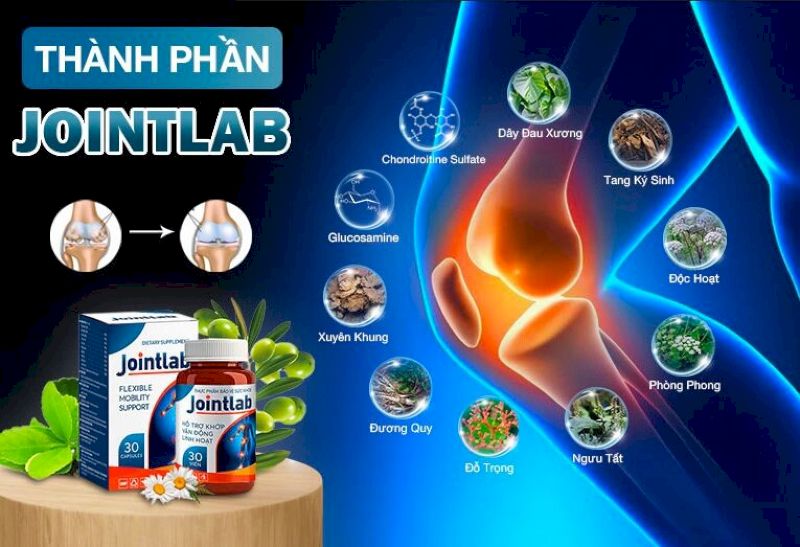 Các thành phần chính của Jointlab xương khớp