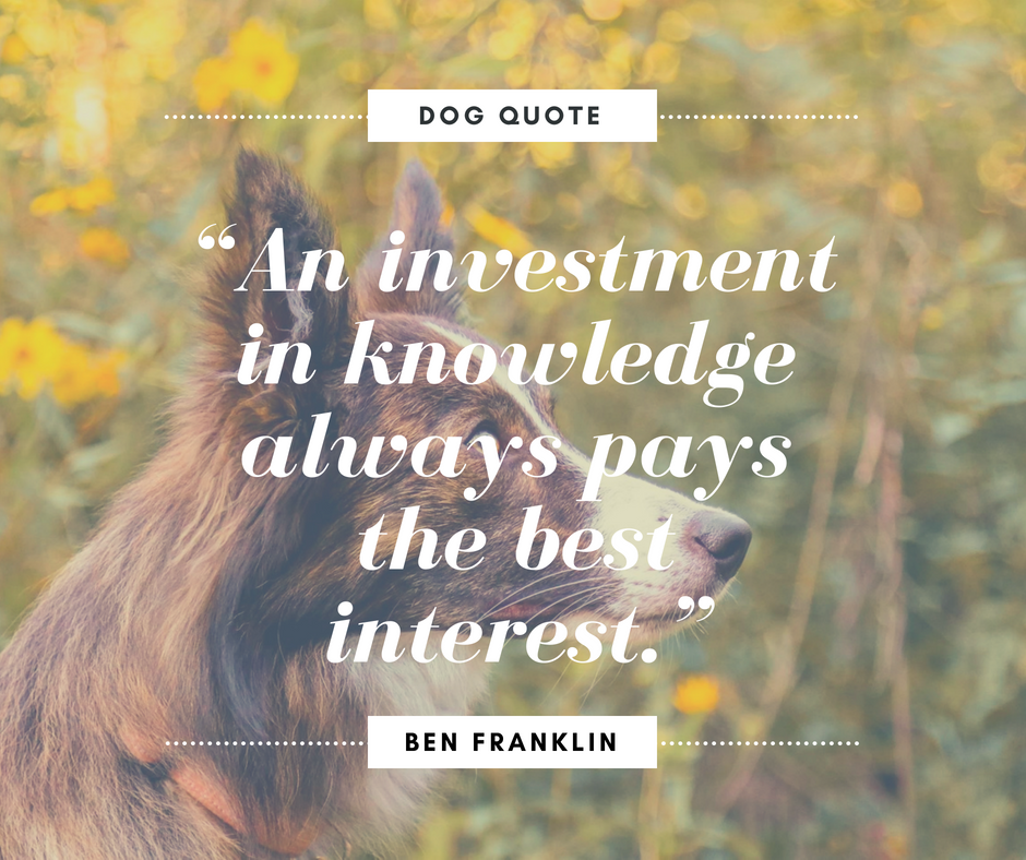dog-training-quotes-inspiring-words-for-every-dog-owner