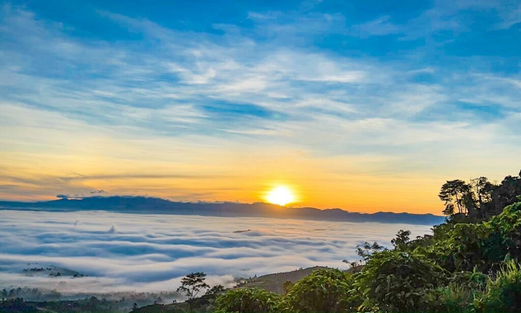 Địa điểm check in đẹp nhất tại Bảo Lộc. Núi Đại Bình phủ sương kín lối