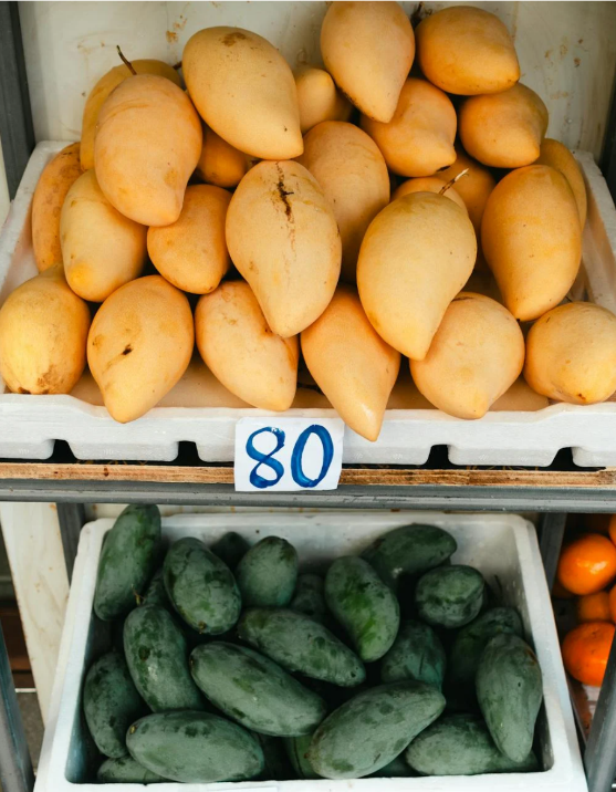 A group of mangoes and a couple of green mangoes

Description automatically generated