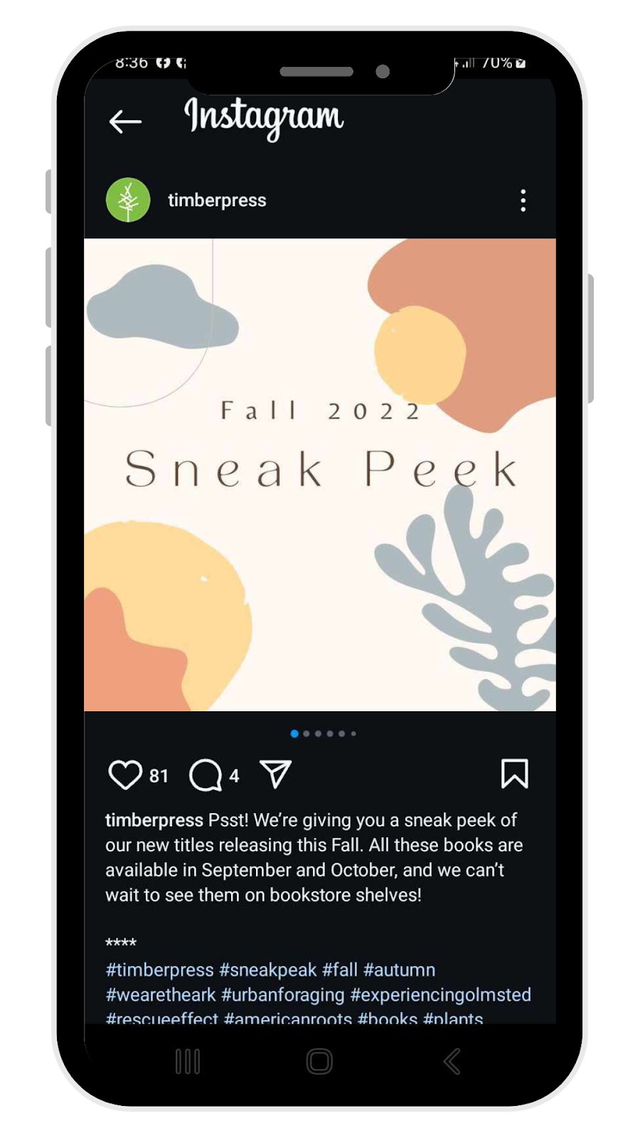 Instagram Post Ideas - Exclusive Sneak Peeks
