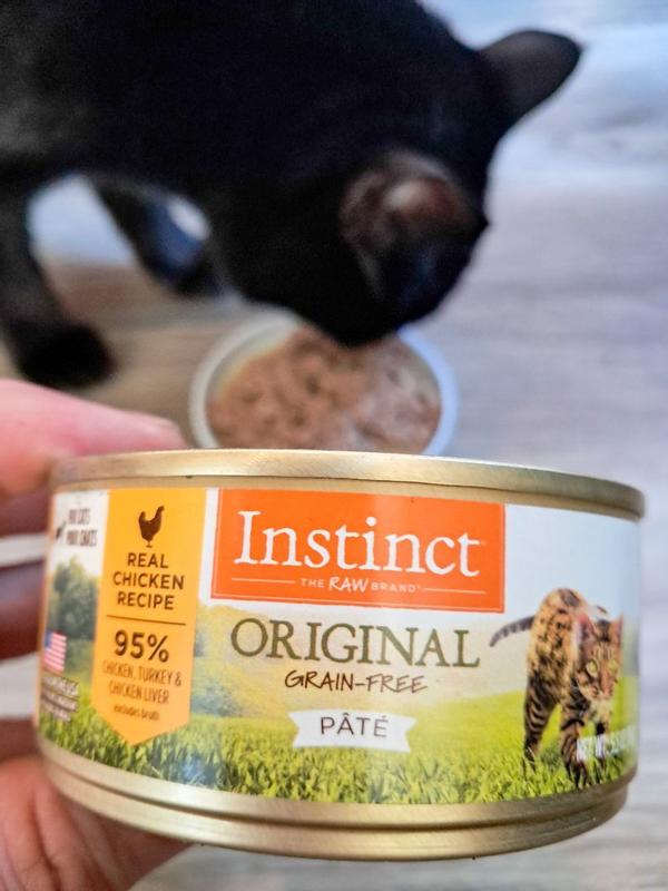 Instinct Cat Food Review: Unleash Feline Vitality!