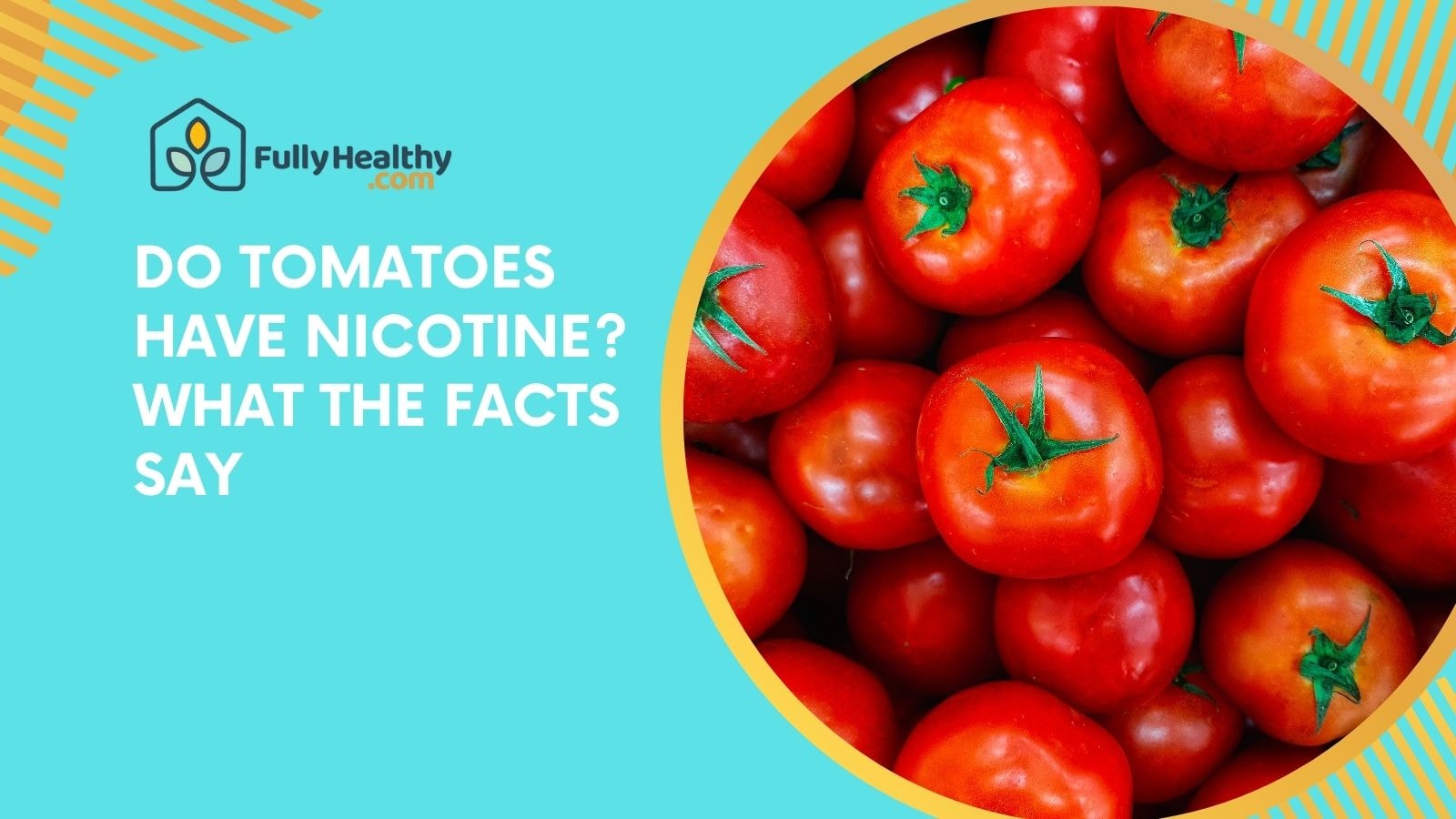 Do Tomatoes Have Nicotine? What the Facts Say