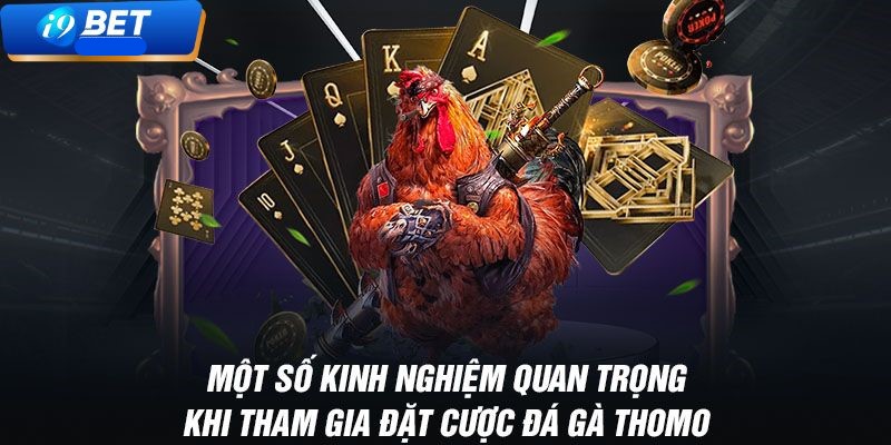 Bí quyết chơi hiệu quả cho người mới tham gia đá gà i9Bet