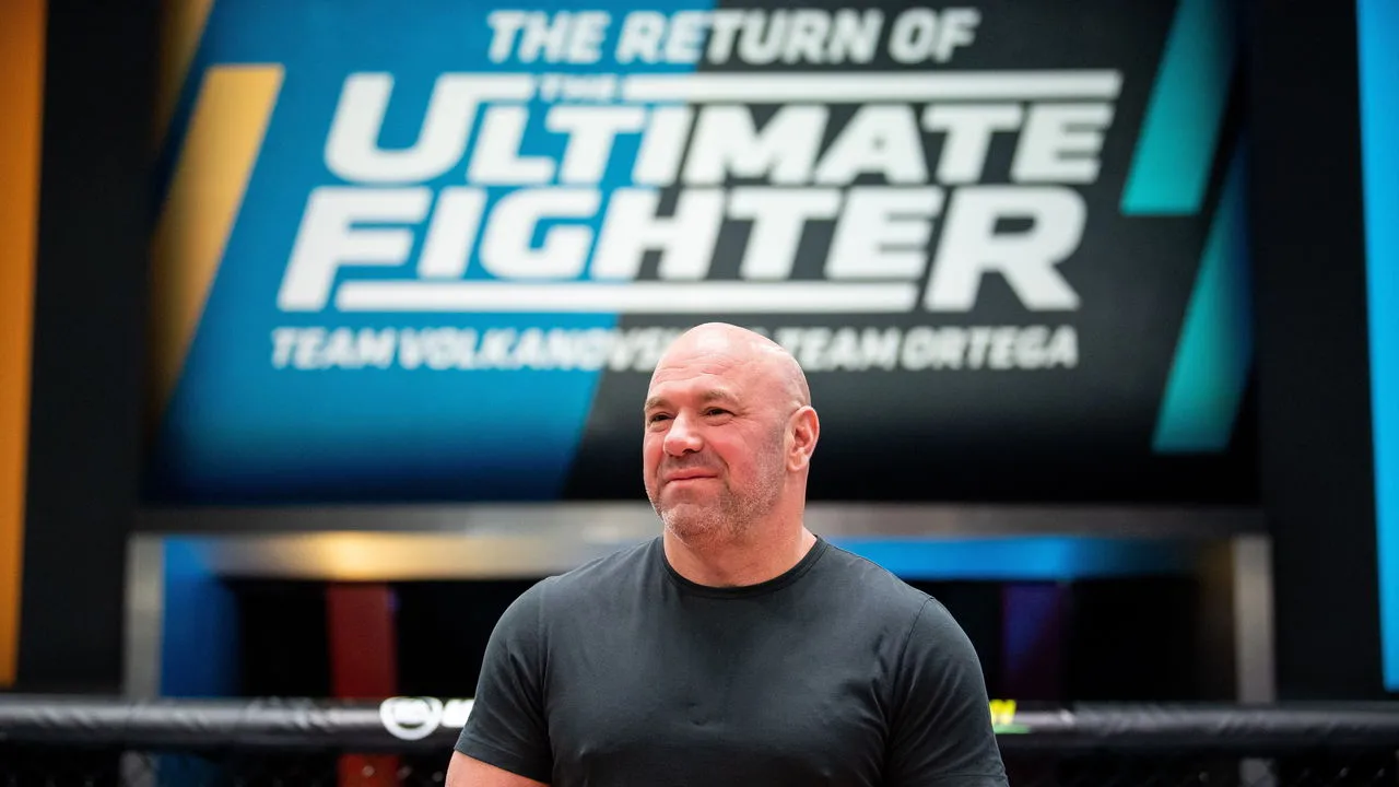 dana white