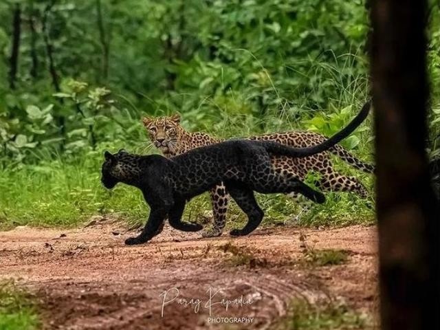 Wildlife Sanctuaries