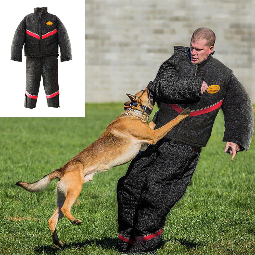 dog-training-suit-ultimate-gear-effective-training