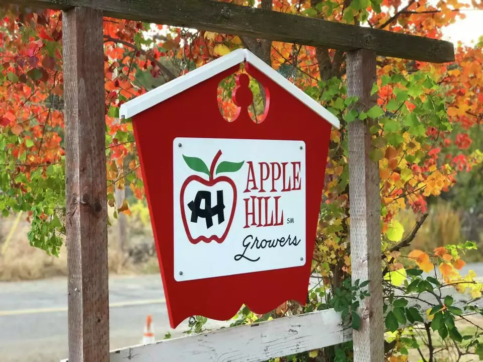 apple orchards near bay area