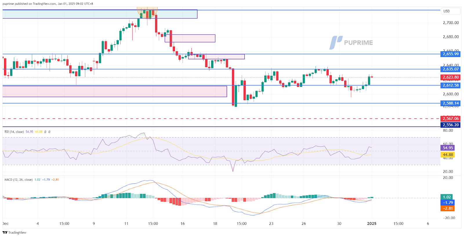 xauusd 01012025