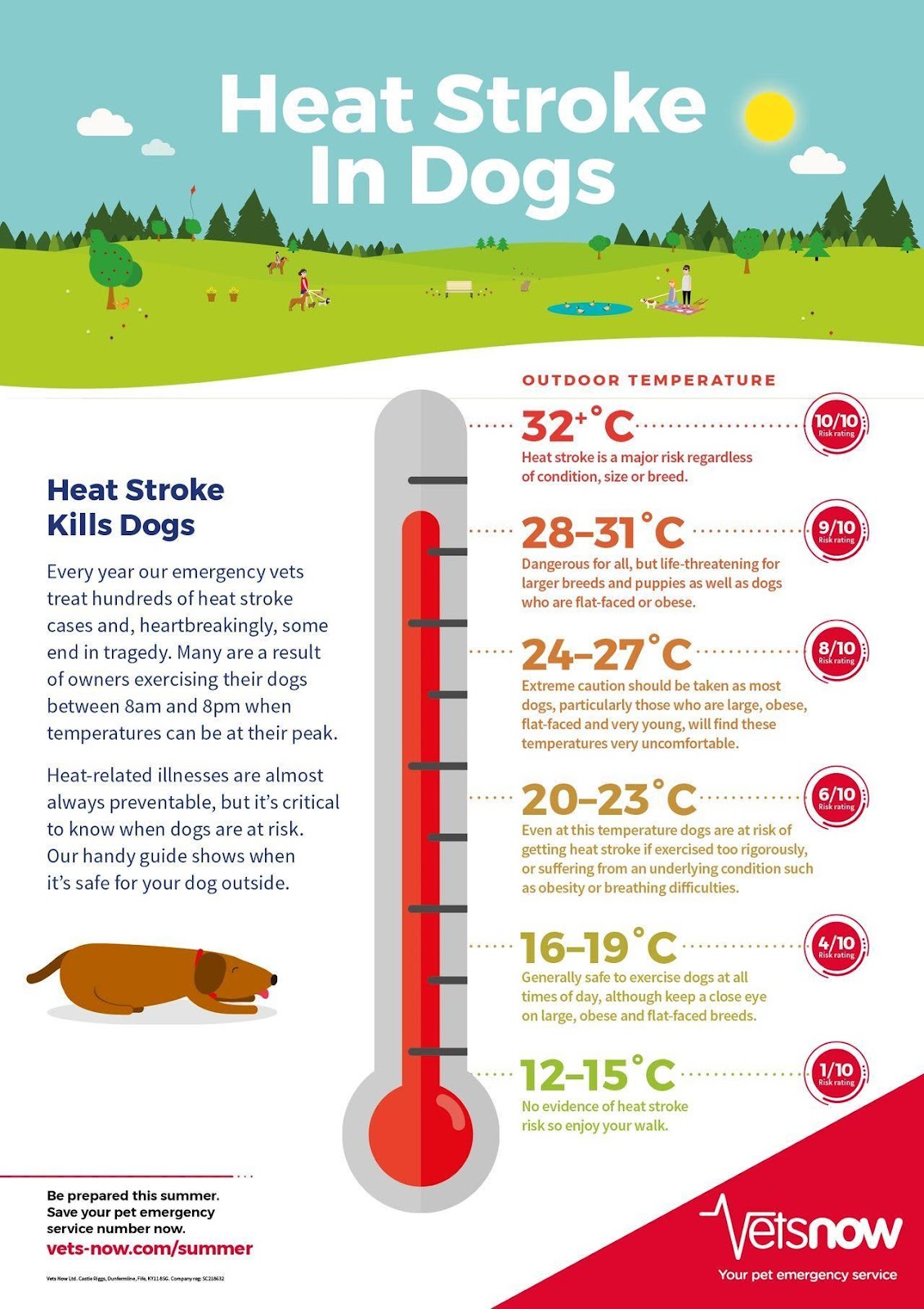 Temperature advice for dog walks from Vets Now