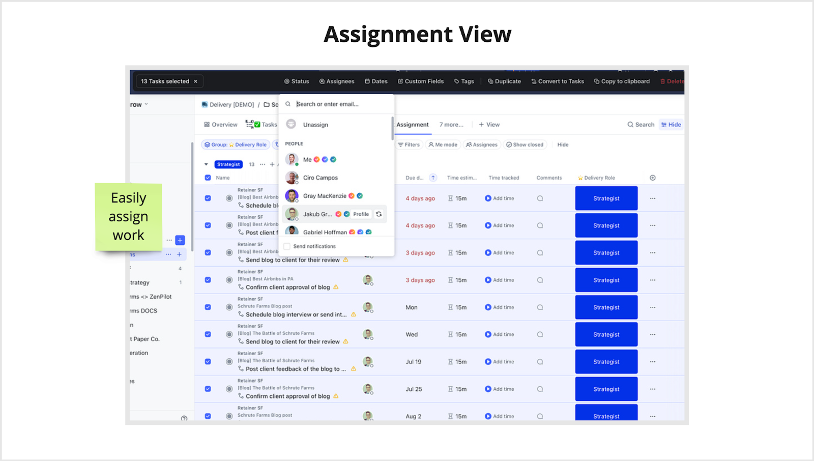 Agency Project Management System: Assignment View 