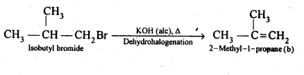 NCERT Solutions For Class 12 Chemistry Chapter 10 Haloalkanes and Haloarenes Exercises Q21.2