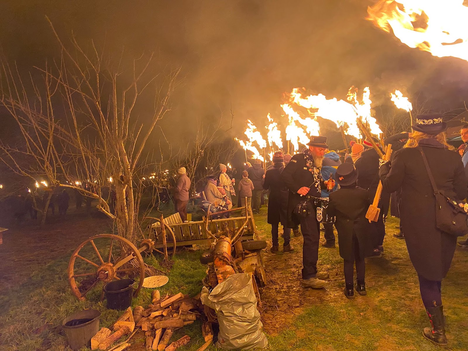 A parade of people walking through an orchard at night holding fiery torches