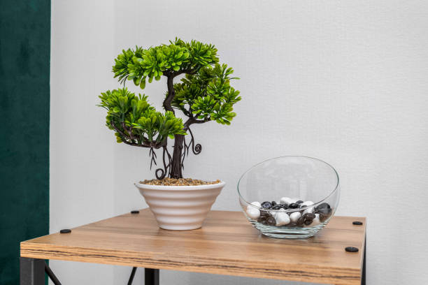 glass bonsai pot in a table