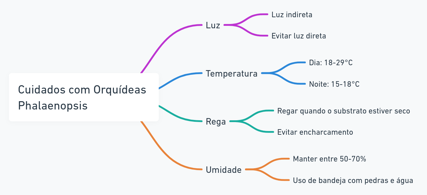 Como Cuidar das Orquídeas Phalaenopsis