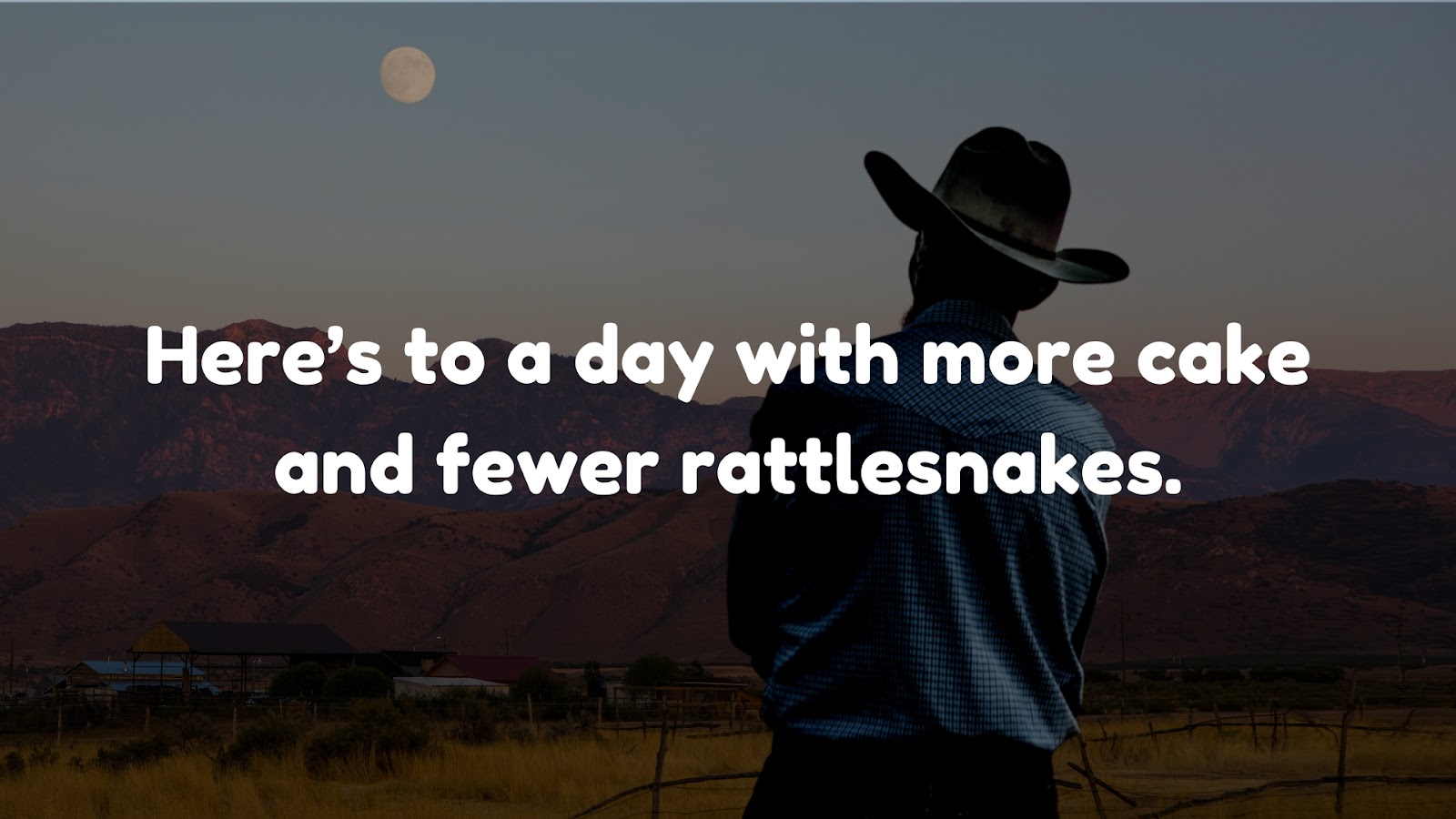 Here’s to a day with more cake and fewer rattlesnakes.