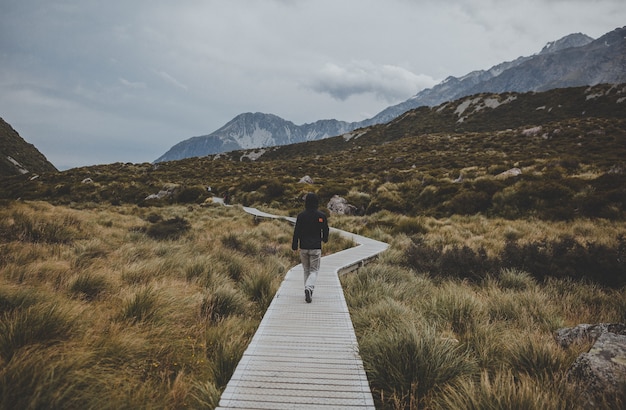 Journey to the Mountain: Conquer the Heights