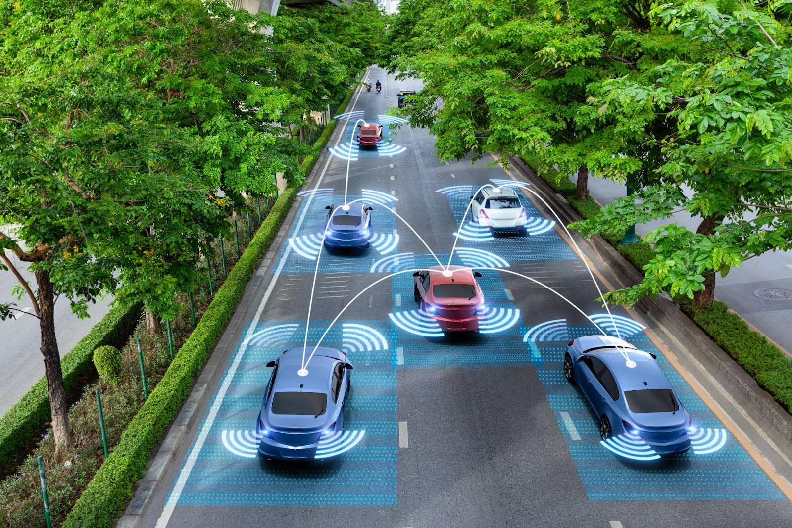 Vehicle Function 101: What Every Driver Needs to Know