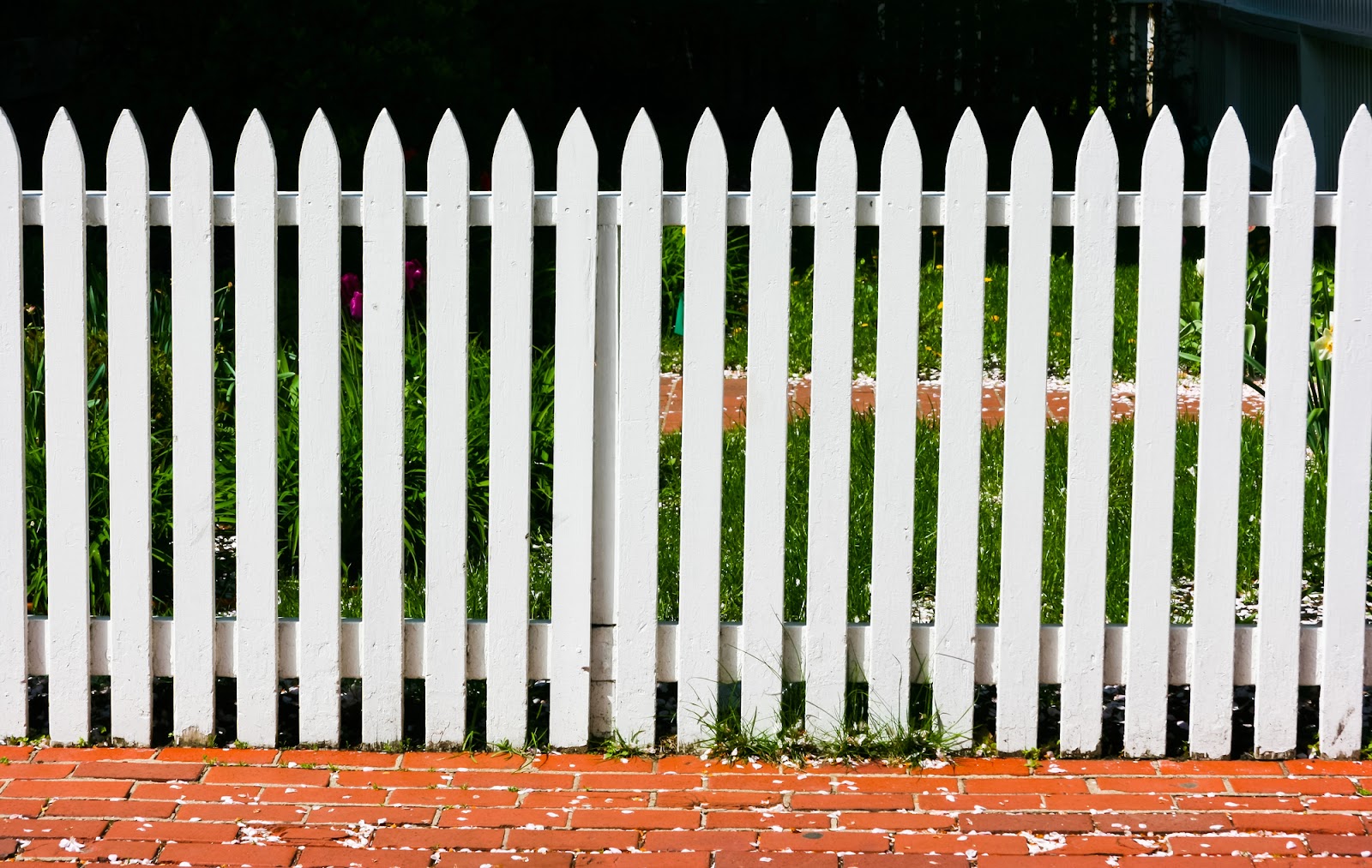 White fence