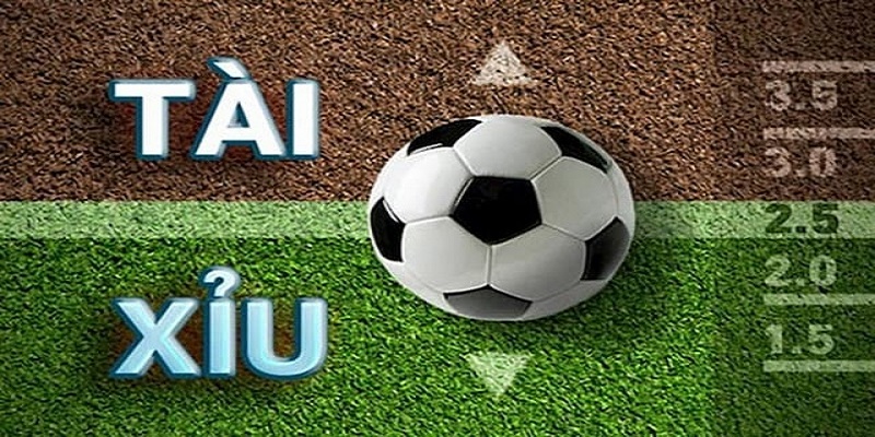 Chọn những trận đấu ngang tài ngang sức