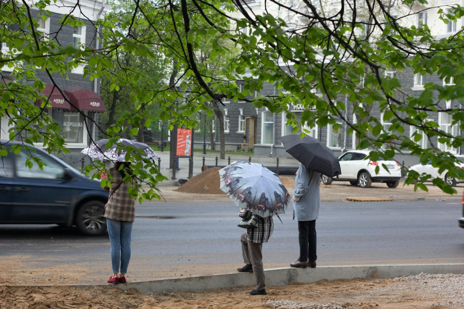 Three people with umbrellas wait at the edge of a road on a rainy day, surrounded by green tree branches. Cars pass by on the wet street in the background