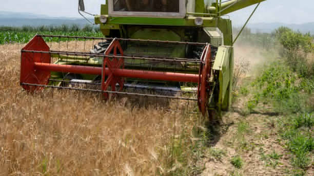 Dewulf Harvester Model D-7146