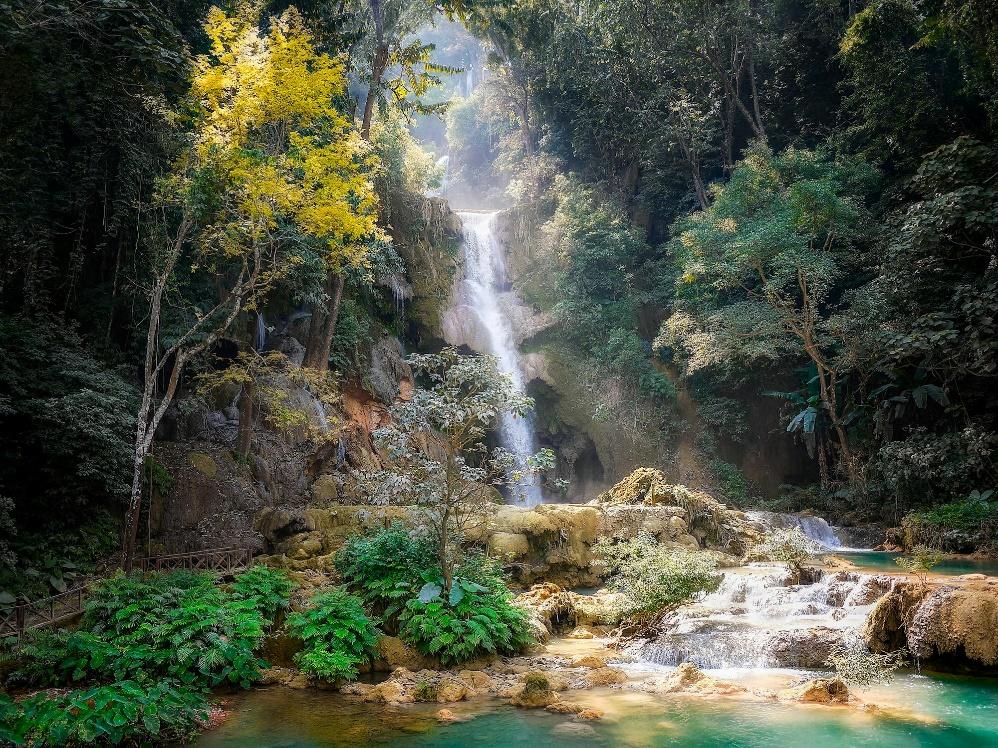 A waterfall in a forest

Description automatically generated