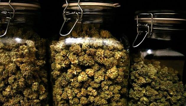 Miami's Best THCA Flower Deals – Have You Tried Our 28g Premium Buds Yet? :  u/Ark-Smoke-Shop