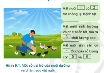 BÀI 9.NUÔI DƯỠNG VÀ CHĂM SÓC VẬT NUÔI