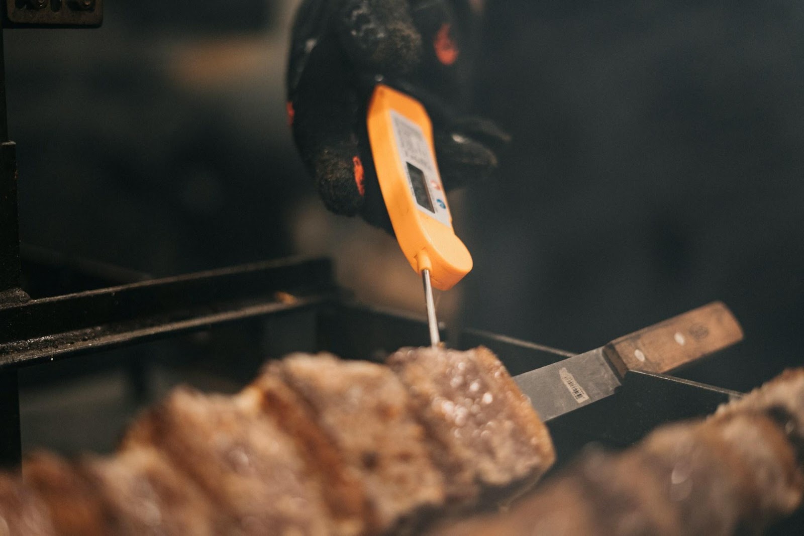 What is the carnivore diet
