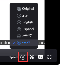 Screenshot of Zoom channel settings where Interpretation is selectable.