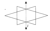 NCERT Solutions For Class 6 Maths Chapter 13 Symmetry