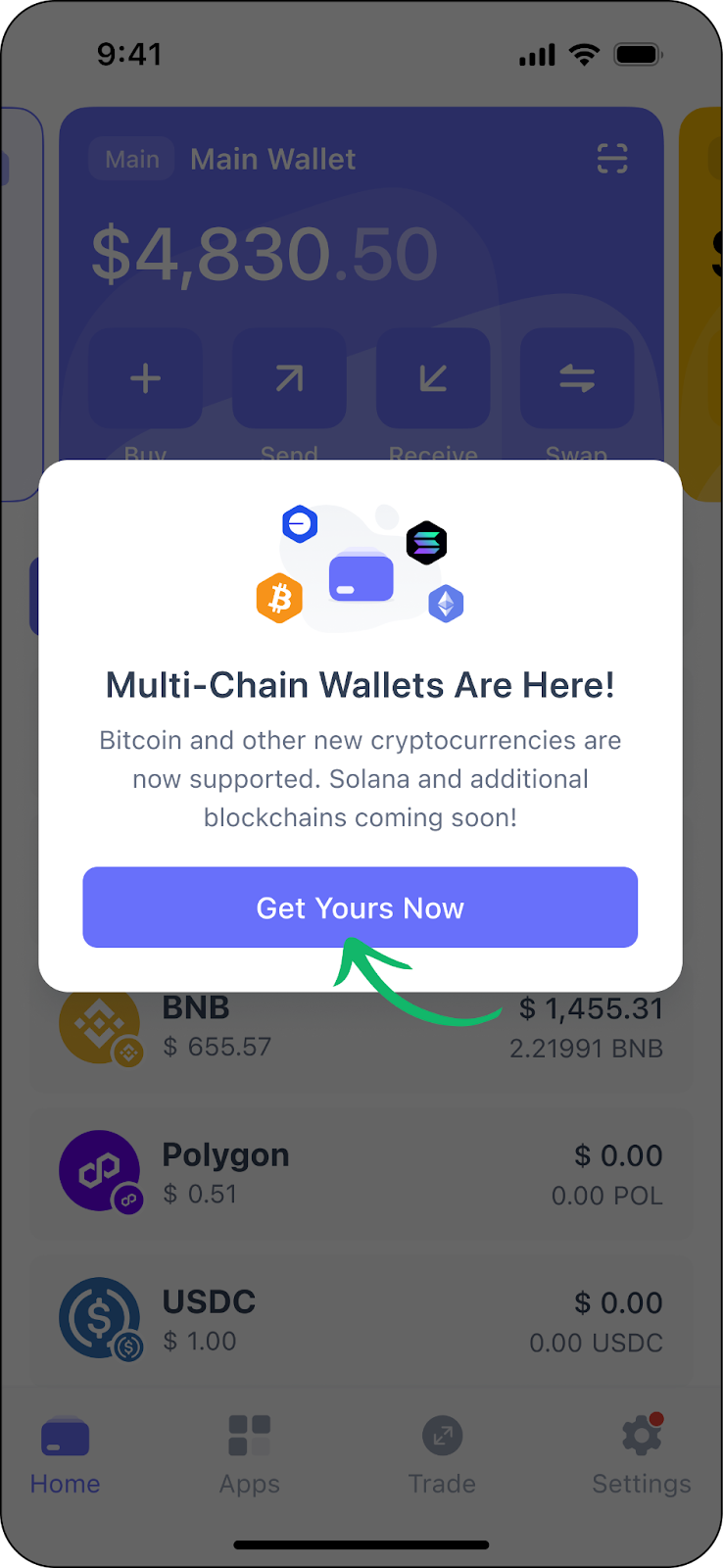 Multi-Chain Wallet