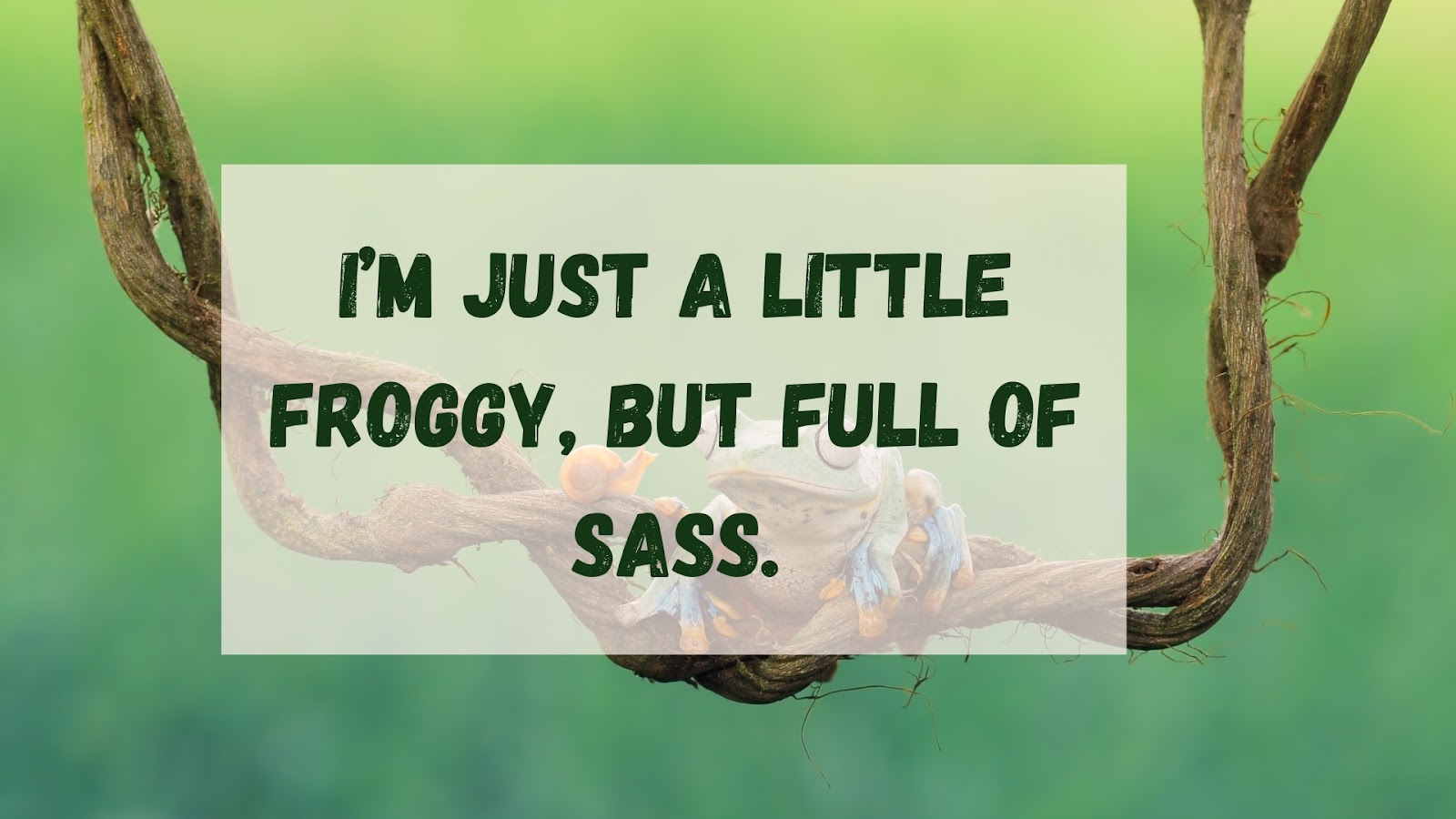 I’m just a little froggy, but full of sass.