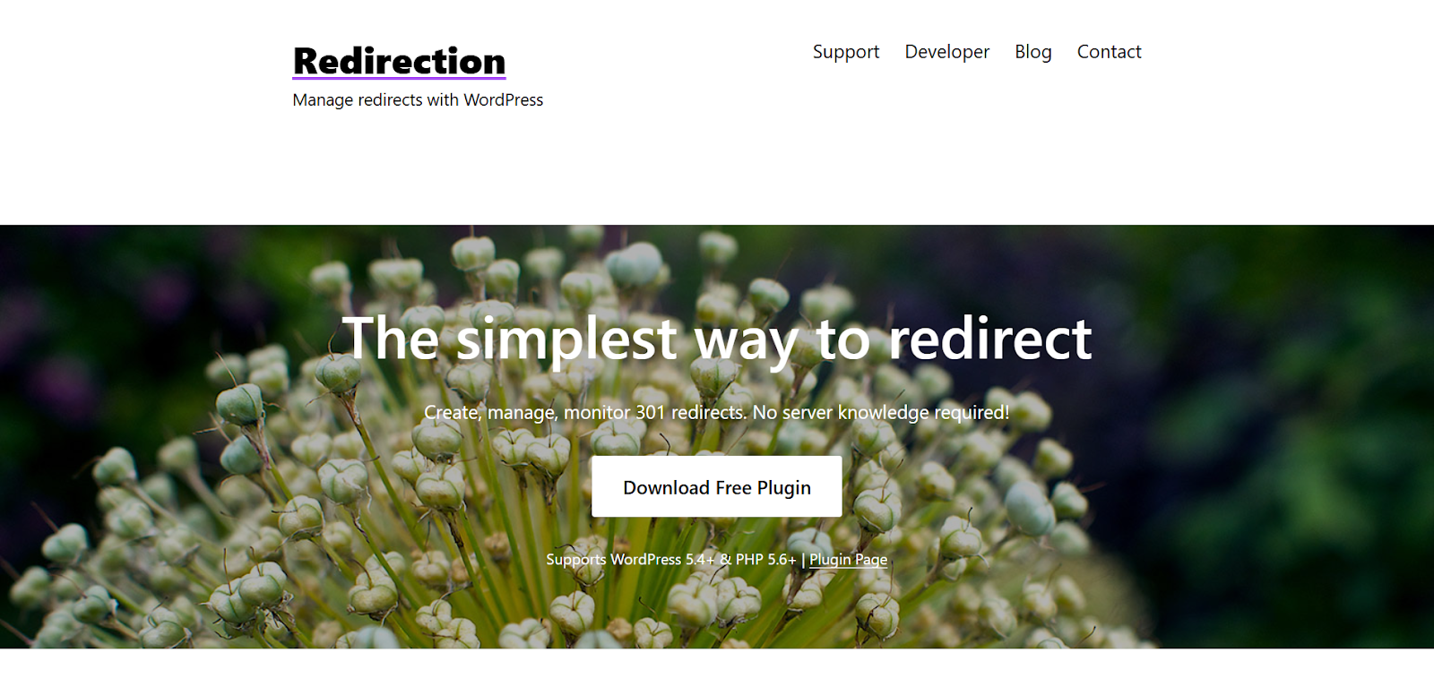Redirection SEO tool