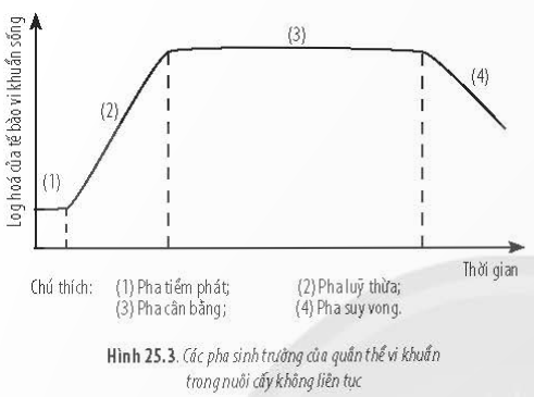 BÀI 25 - SINH TRƯỞNG VÀ SINH SẢN Ở VI SINH VẬT