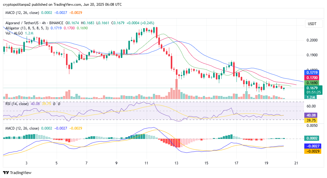 Graphique ALGO/USD sur 4 heures. Source de l&#39;image : TradingView