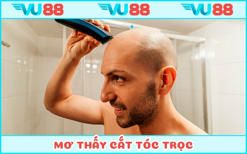 Chiêm bao trọc đầu