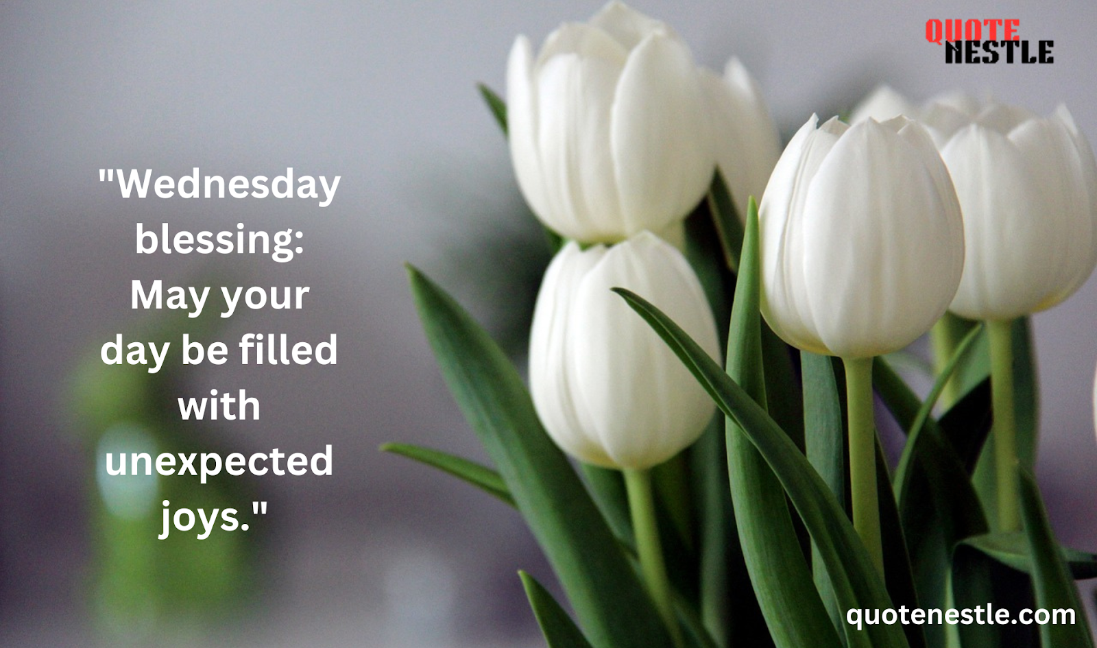 Wednesday blessings quotes