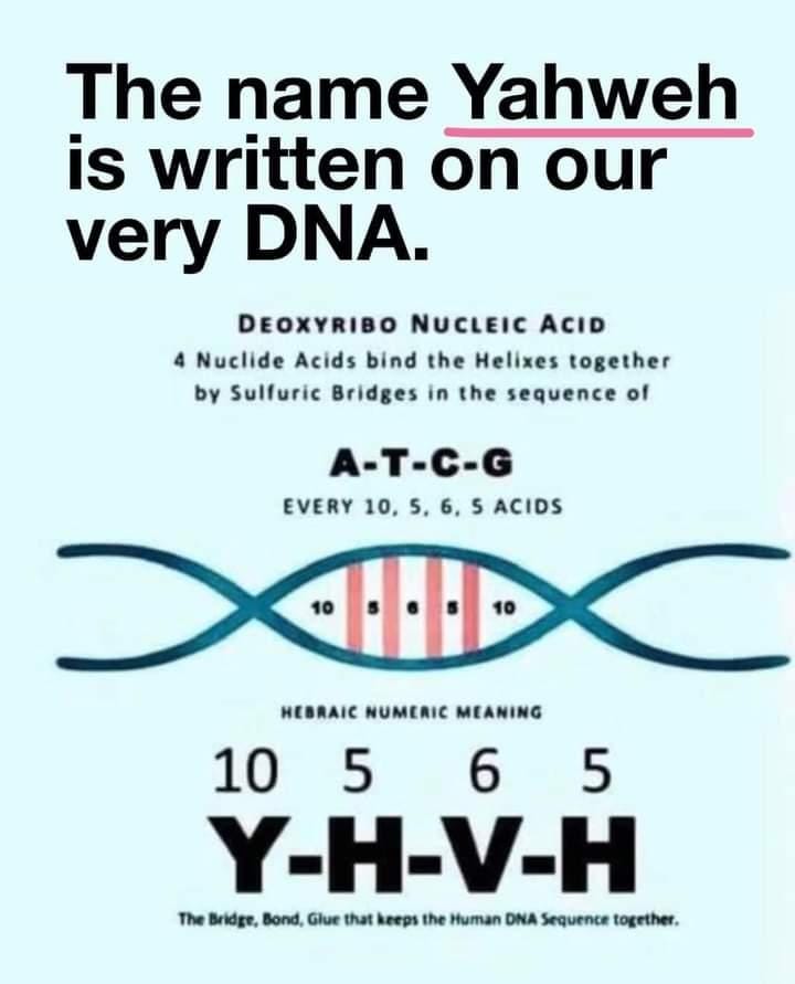 Ist möglicherweise ein Bild von Text „The name Yahweh is written on our very DNA. DEOXYRIBO NUCLEIC ACID Nuclide Acids bind the Helixes together by Sulfuric Bridges in the sequence of A-T-C-G EVERY 10, 5, 6, 5 ACIDS HEBRAIC NUMERIC MEANING 10 5 6 5 Y-H-V-H The Bridge Bond, Glue that keeps the Human DNA Sequence together,“