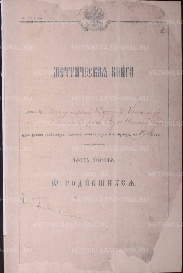 Дети Аксенова Ивана Яковлевича. Верх-Исетский завод, Екатеринбург, Свердловская область. Аксенов