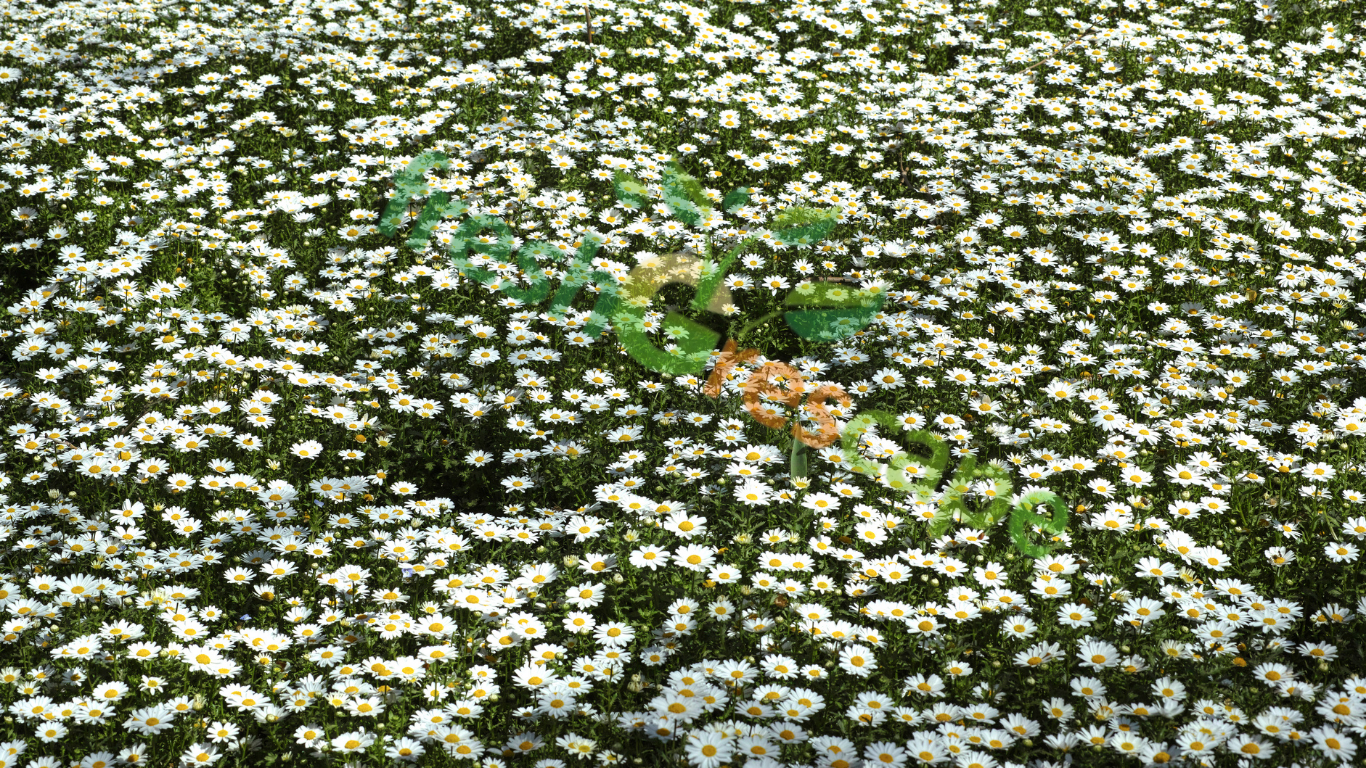 Medium-Sized-Trees